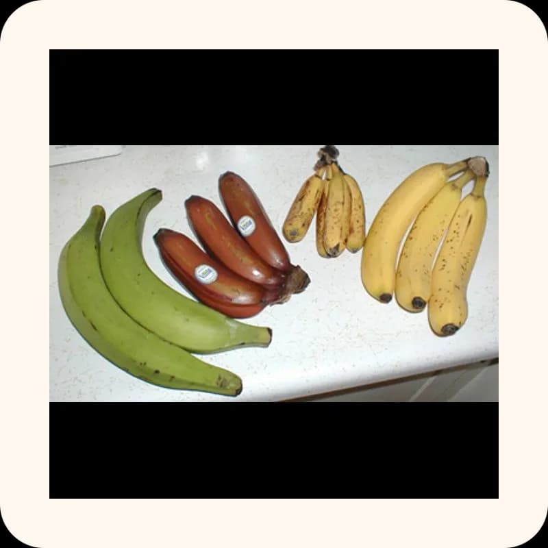 banana