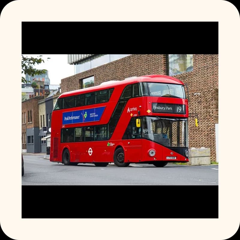 bus