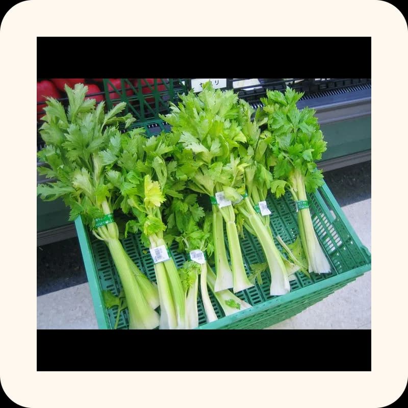 celery