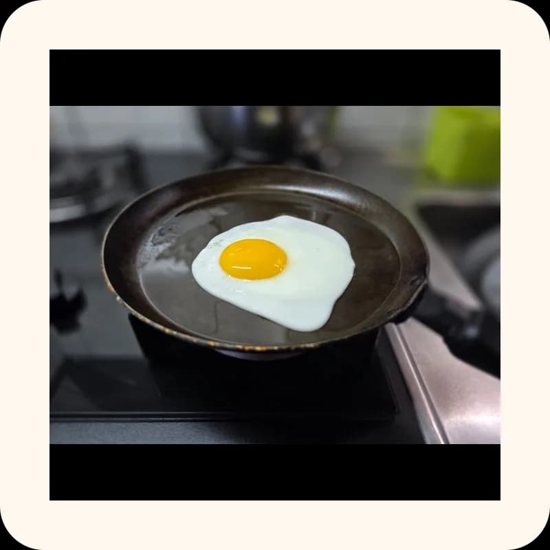 egg