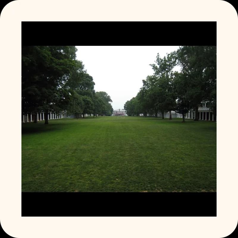 grass