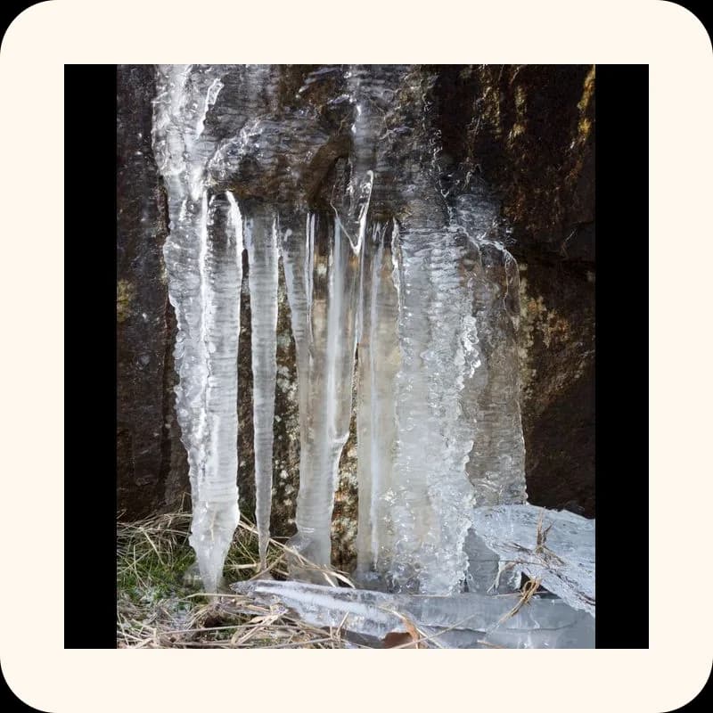 icicle