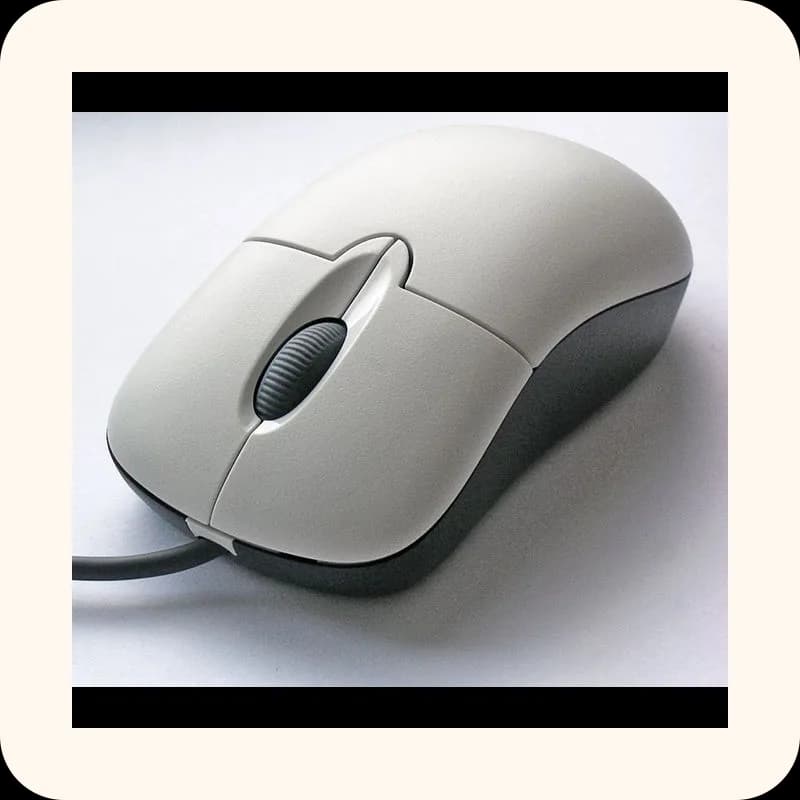 mouse