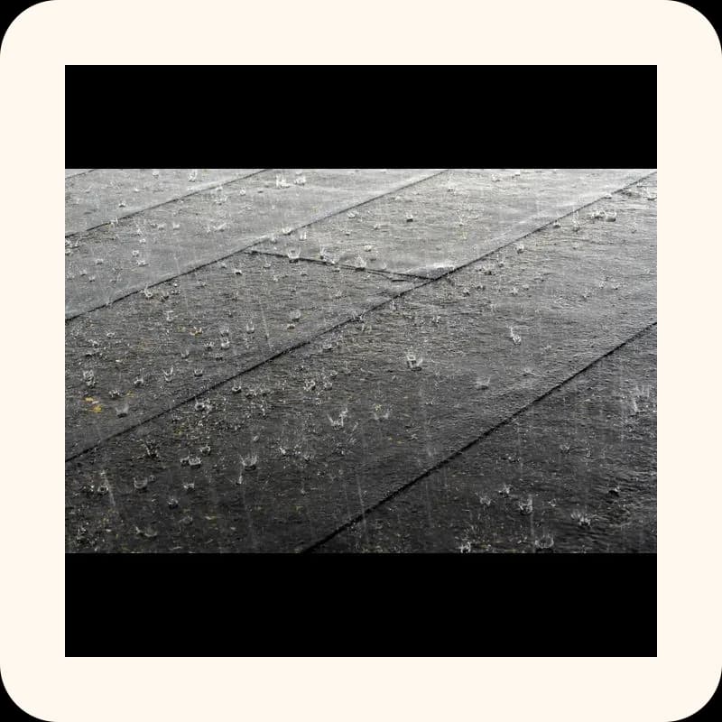 rain