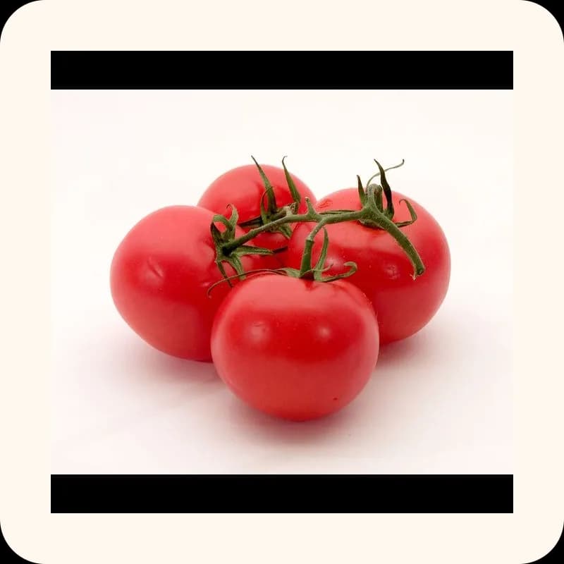tomato